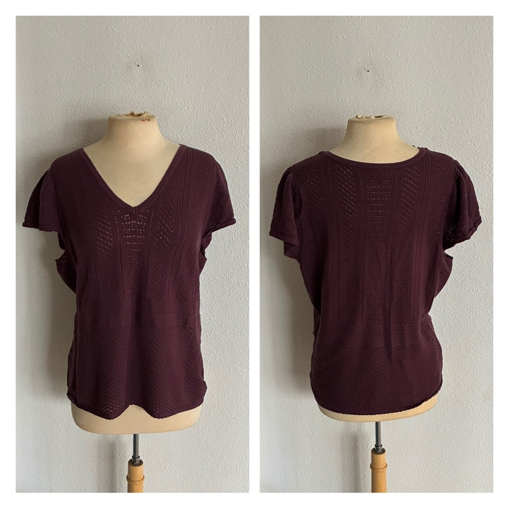 Torrid short sleeved sweater